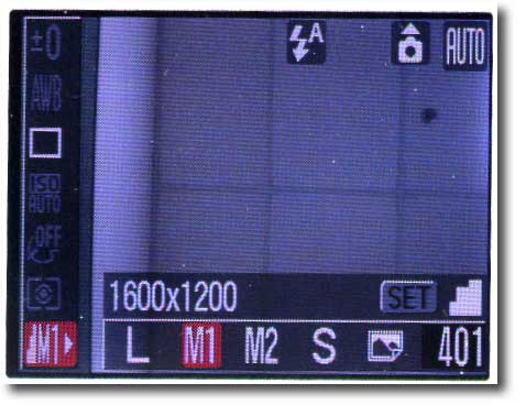 m1.jpg